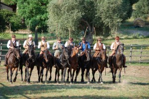 escursioni nel parco